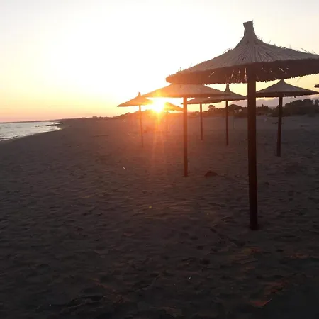 Te Shkodrant 1